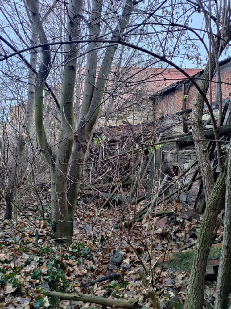 Blick in den Garten