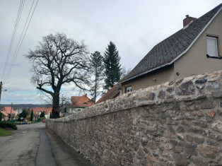 Historischer Gartenpavillon und Einfriedungsmauer