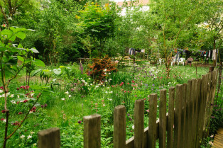Blick in den Denkmalgeschützten Parzellengarten Garten