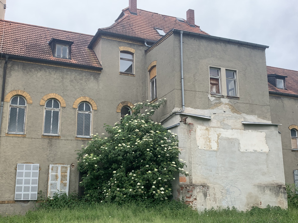 Ansicht Schäden Rückseite