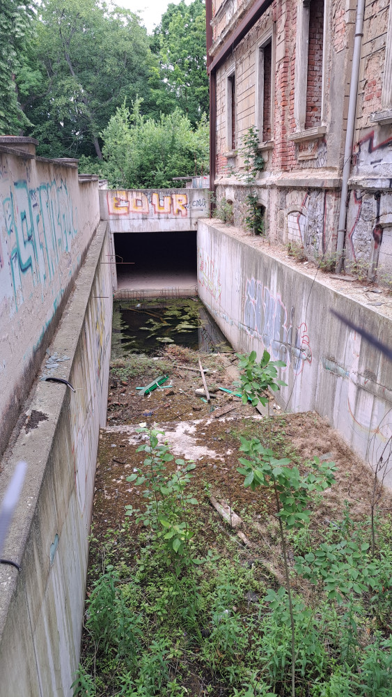 Käthe-Kollwitz-Straße 50 - 06/2026