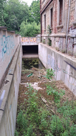 Käthe-Kollwitz-Straße 50 - 06/2026