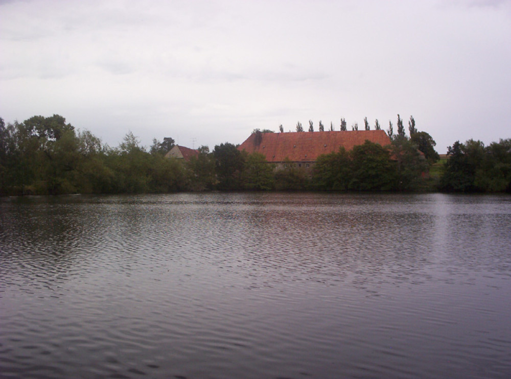 Blick über den Biberteich 2004