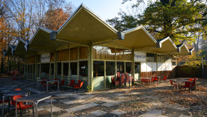 Pinguin-Café im Zoo Dresden