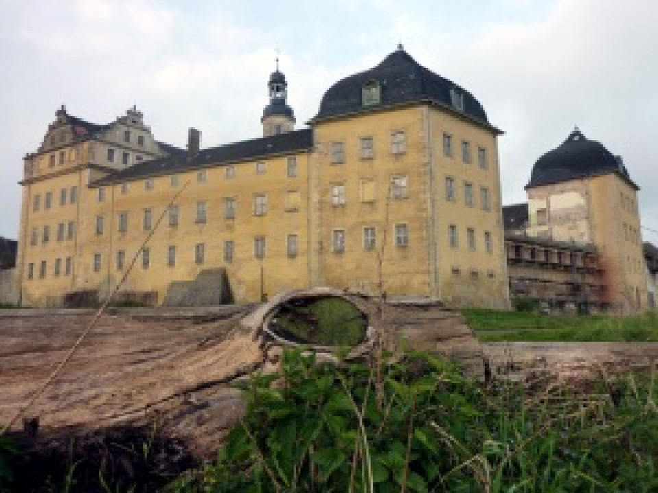 Schloss Coswig