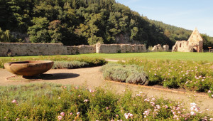 Blick zur Klostermauer