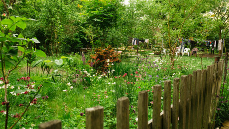 Blick in den Denkmalgeschützten Parzellengarten Garten