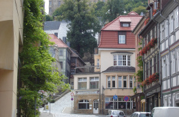 Schloss von der Stadt aus gesehen