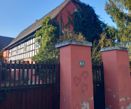 Pödelwitz 8